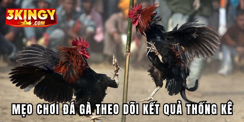 Mẹo chơi đá gà theo dõi kết quả thống kê